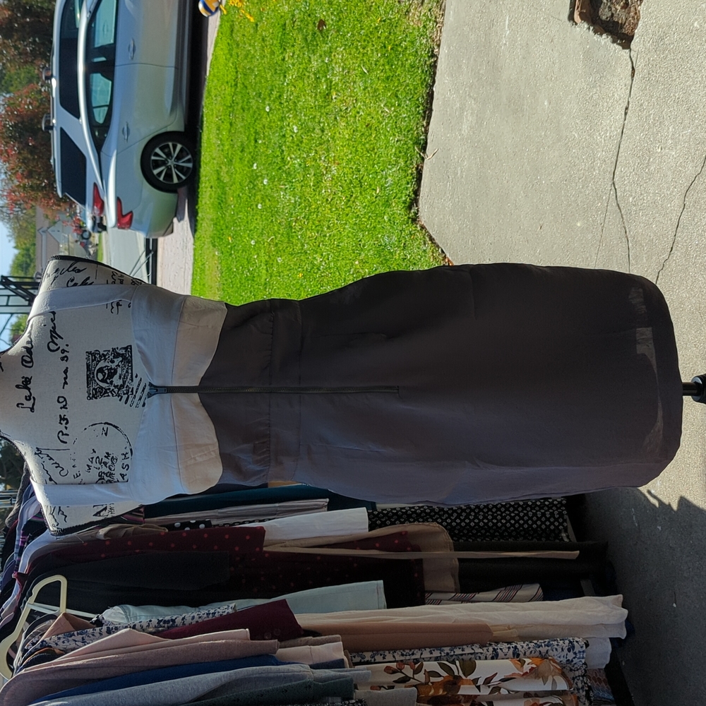 Club Monaco dress